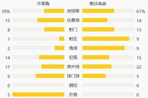  维尔茨重伤缺席剩余德甲赛程  